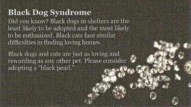 business card